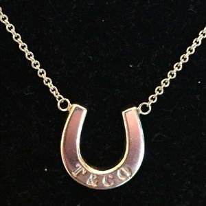 NEW Tiffany & Co Sterling Silver Horseshoe Pendant